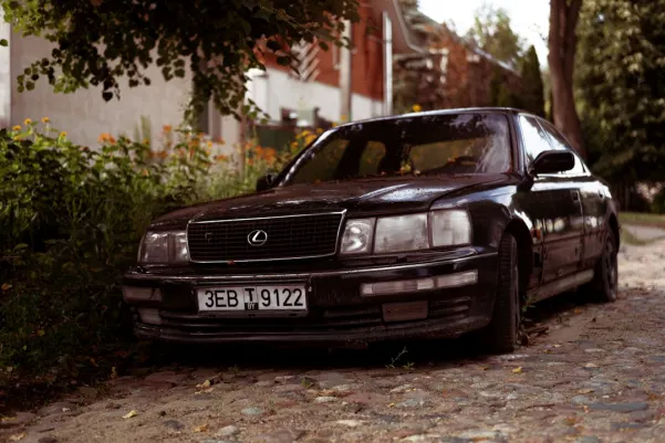 WinFest Casino Aip Android/iOS